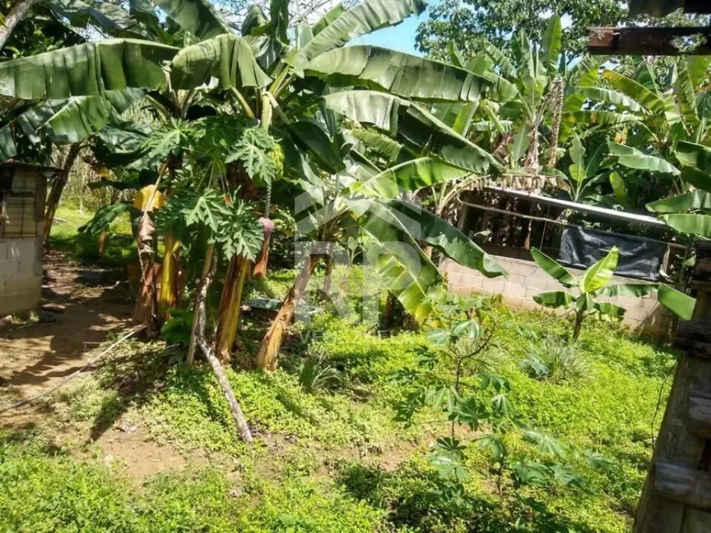 COC-014 Casa de Campo en Venta en Vega de Aza, Táchira