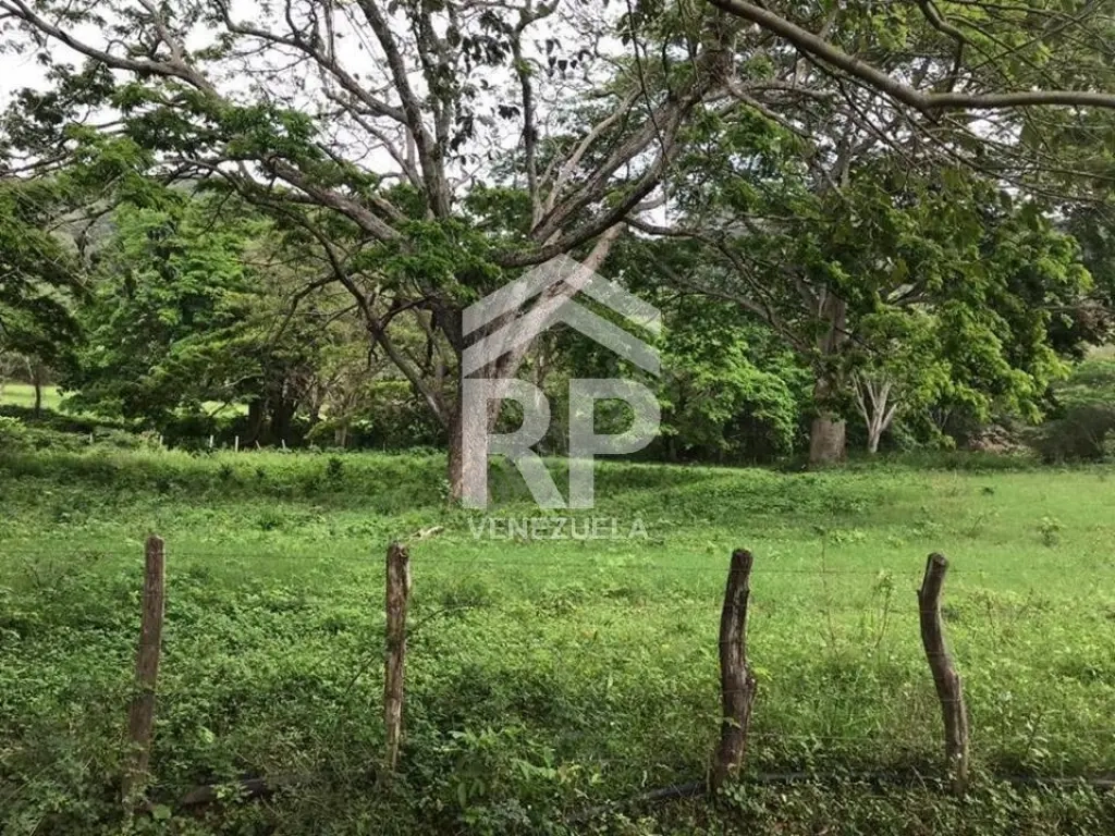 SGF-009 FINCA EN VENTA EN YARACAL