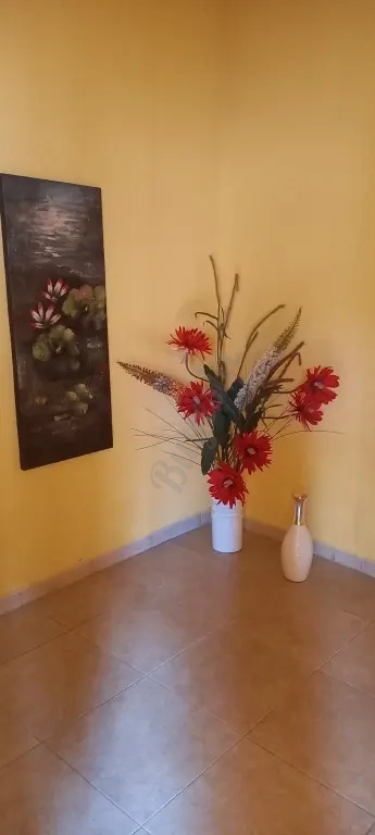 Se alquila habitación amoblada solo a Caballeros