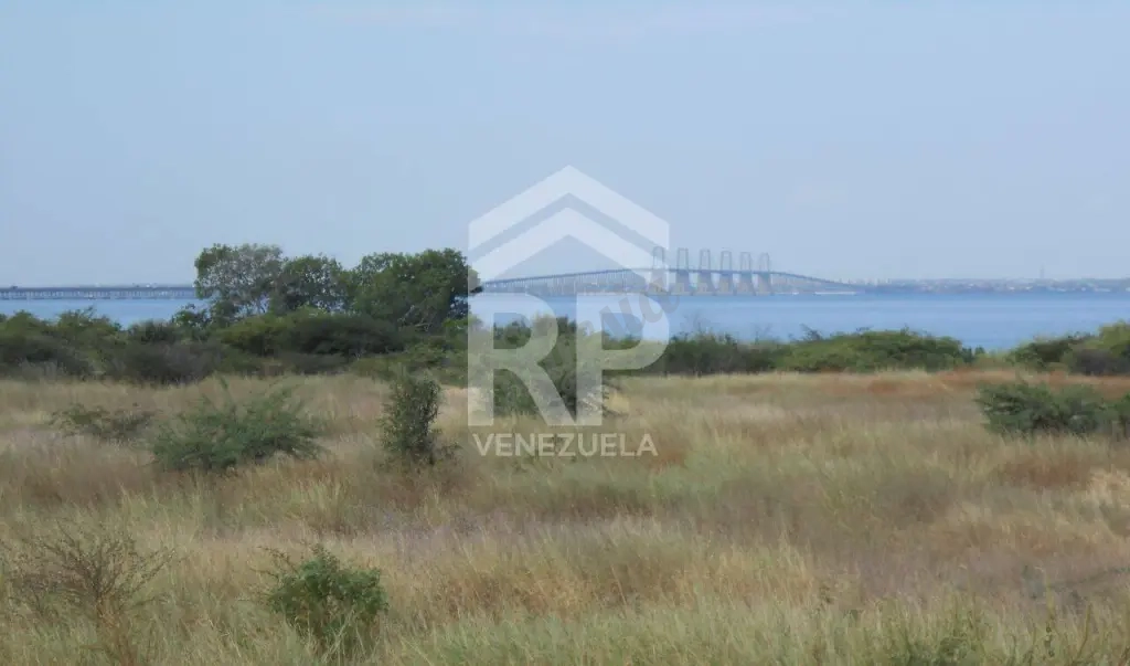 PLT-005 Terreno en Venta en Santa Rita Palmarejo, Zulia