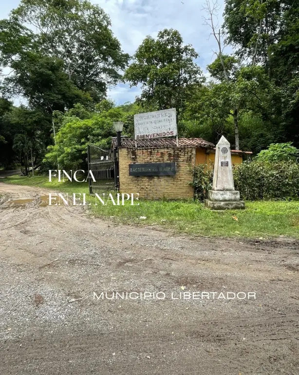 D`CESARE REALTY VENDE FINCA UBICADA EN EL NAIPE, TOCUYITO.